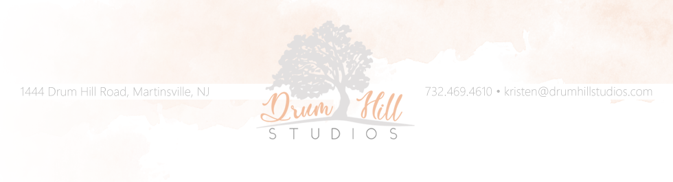 https://drumhillstudiosblog.com/ logo